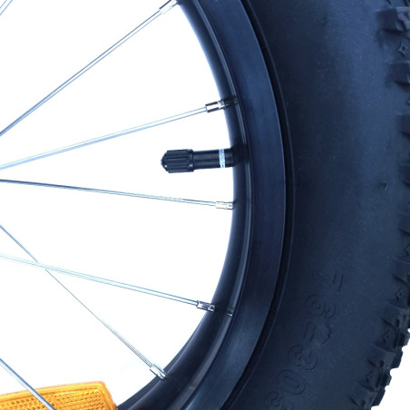 Paire de roues 16 pouces avec axe rapide pour remorque vélo