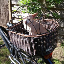 Panier vélo pour chien arrière avec grille de protection